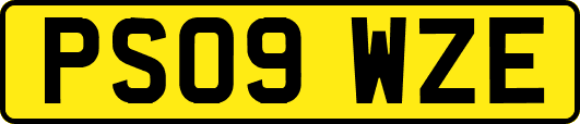 PS09WZE