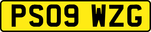 PS09WZG