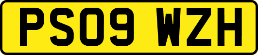 PS09WZH
