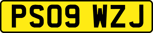 PS09WZJ