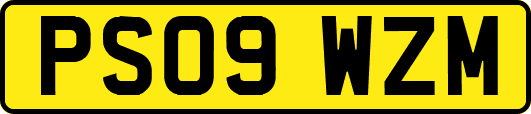 PS09WZM