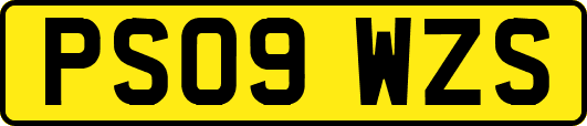 PS09WZS