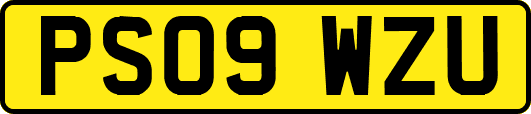 PS09WZU