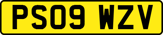 PS09WZV