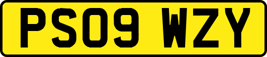 PS09WZY