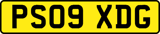 PS09XDG