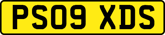 PS09XDS