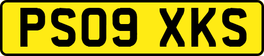 PS09XKS