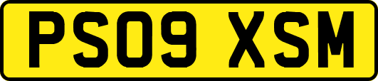 PS09XSM