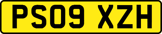 PS09XZH