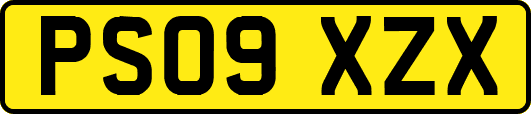 PS09XZX
