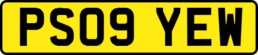 PS09YEW