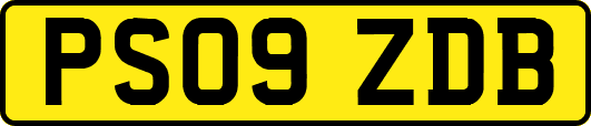 PS09ZDB