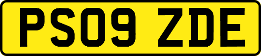 PS09ZDE