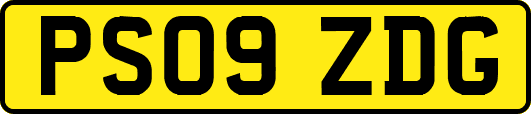 PS09ZDG