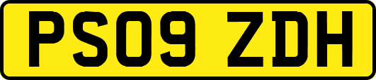 PS09ZDH