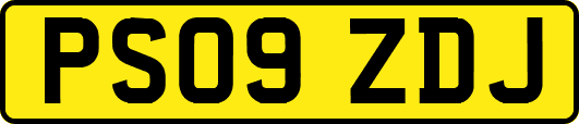 PS09ZDJ