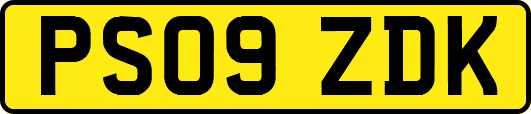 PS09ZDK