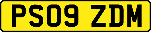 PS09ZDM