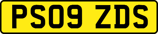 PS09ZDS