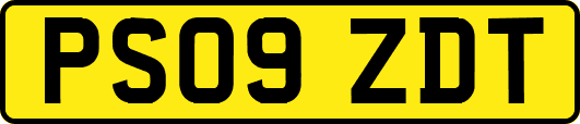 PS09ZDT