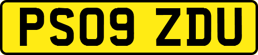 PS09ZDU