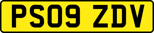 PS09ZDV