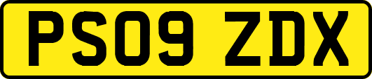 PS09ZDX