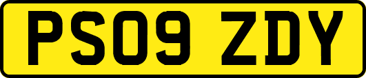 PS09ZDY