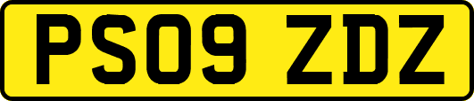 PS09ZDZ