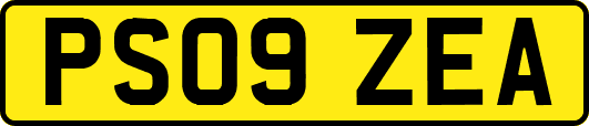 PS09ZEA
