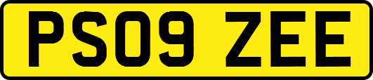 PS09ZEE
