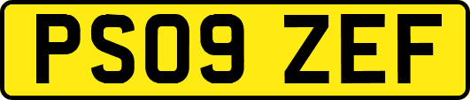PS09ZEF