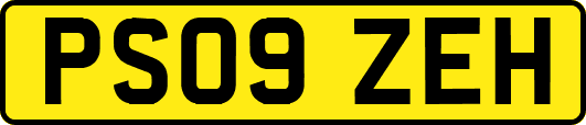 PS09ZEH