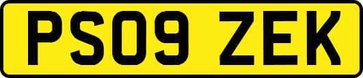 PS09ZEK