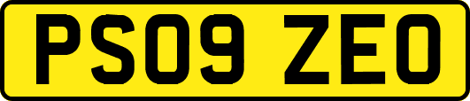 PS09ZEO