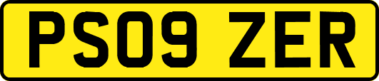 PS09ZER
