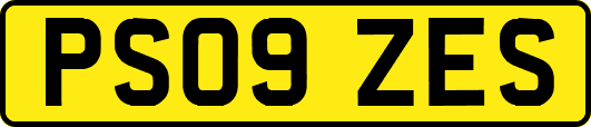 PS09ZES