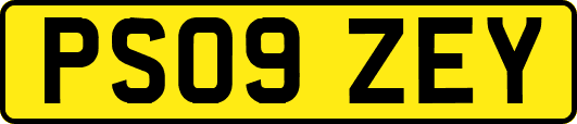 PS09ZEY