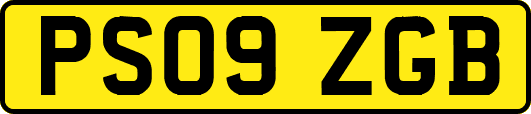 PS09ZGB