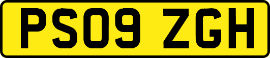 PS09ZGH