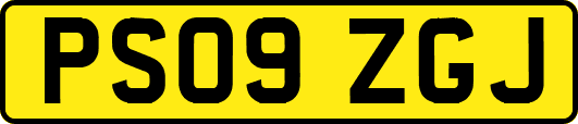 PS09ZGJ
