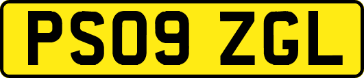 PS09ZGL