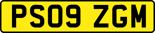 PS09ZGM