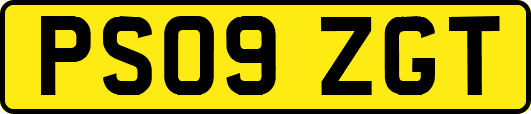 PS09ZGT