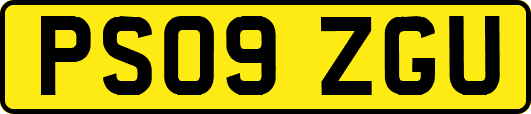 PS09ZGU
