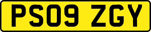 PS09ZGY