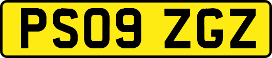 PS09ZGZ