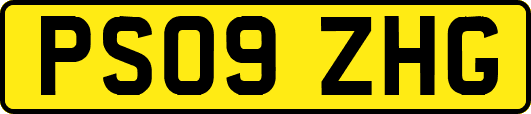 PS09ZHG