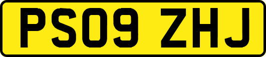 PS09ZHJ